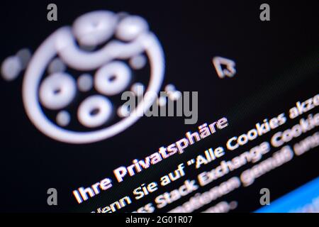 Bad Oeynhausen, Allemagne. 29 mai 2021. Un pointeur de souris s'attarde sur un bouton sous la forme d'un cookie. L'organisation européenne de protection des données noyb lance une vague de plaintes contre les bannières de cookies sur les principaux sites Web. Noyb a été fondé par Max Schrems, qui a déposé devant la CJE les deux accords de protection des données conclus par l'UE avec les États-Unis (« Safe Habour » et « Privacy Shield »). Crédit : Lino Mirgeler/dpa/Alay Live News Banque D'Images