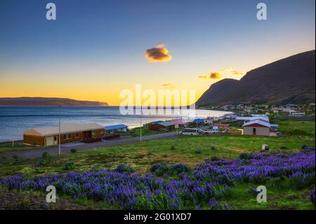 Petit village de pêcheurs de Patreksfjordur situé dans les Westfjords, Islande Banque D'Images