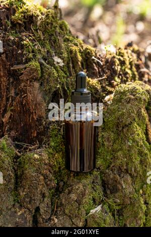 Bouteille vide de sérum naturel cosmétique pour le soin de la peau essence sur fond forestier, vertical. Concept de produit de beauté bio écologique. Écorce d'arbre et mousses o Banque D'Images