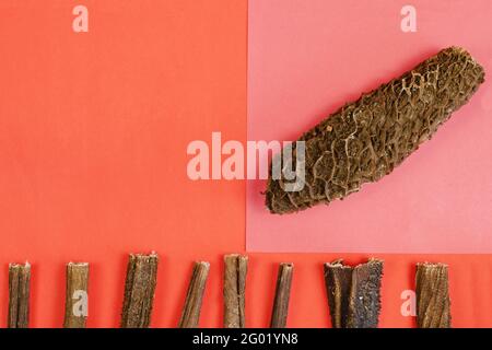 Commercialisation et publicité des produits animaux concept. Gâteries pour chiens sur fond rouge et rose. Bâtonnets d'estomac de bœuf séchés. Des friandises séchées naturelles à faire Banque D'Images