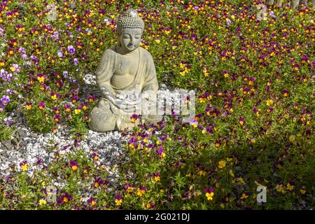 Statue de bouddha décorative dans un jardin de fleurs de pansies. France. Banque D'Images