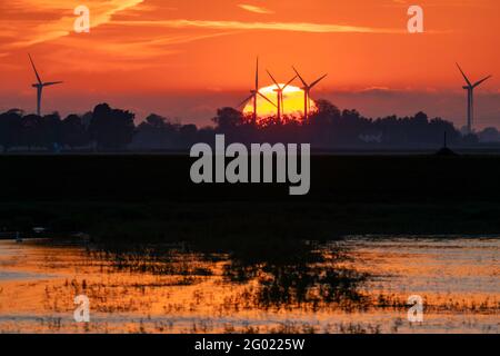 Coucher de soleil derrière le parc éolien de Tick Fen, de l'autre côté des niveaux de Bedford Banque D'Images