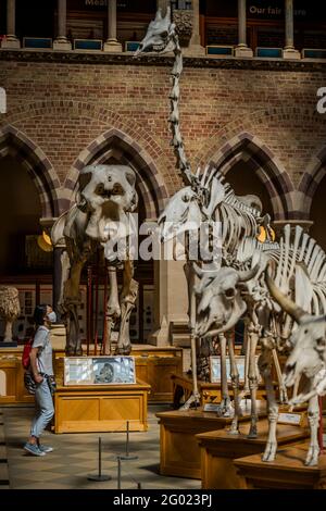 Oxford, Royaume-Uni. 30 mai 2021. Les gens de tous âges apprécient un voyage de vacances sur la rive au musée de Pitt Rivers et au musée d'histoire naturelle d'Oxford. Le flux des personnes est contrôlé jusqu'à la poursuite des restrictions du coronavirus. Crédit : Guy Bell/Alay Live News Banque D'Images