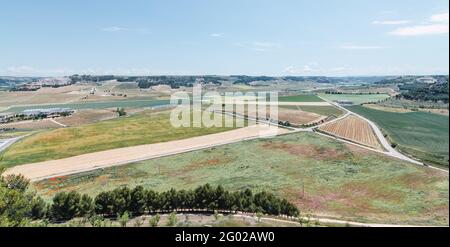 Paysage avec vignes. Vue depuis le château de Peñafiel, Valladolid. Banque D'Images