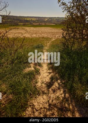 Chemin aride à travers le large paysage agricole du Kent, sud de l'Angleterre, Royaume-Uni, Europe Banque D'Images