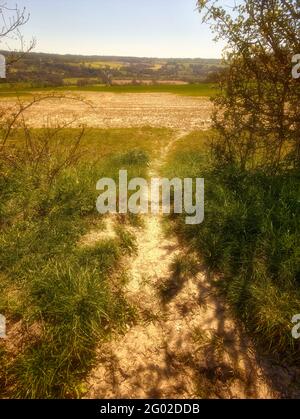 Chemin aride à travers le large paysage agricole du Kent, sud de l'Angleterre, Royaume-Uni, Europe Banque D'Images