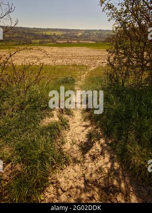 Chemin aride à travers le large paysage agricole du Kent, sud de l'Angleterre, Royaume-Uni, Europe Banque D'Images