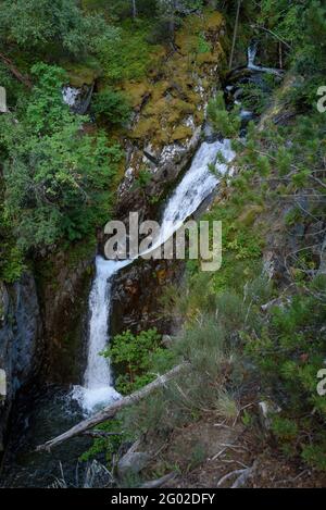 Cascades sur la rivière Peguera, dans la vallée de la Peguera (Pallars Sobirà, Catalogne, Espagne, Pyrénées) Banque D'Images