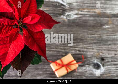 Décoration de table de Noël avec cadeau de noël et fleur de poinsettia rouge, vue de dessus Banque D'Images