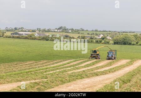 Riverstick, Cork, Irlande. 31 mai 2021. Entrepreneurs agricoles A & N Draper coupant l'ensilage une belle journée à la ferme de Gavin Coleman, Riverstick, Co. Cork, Irlande. - crédit; David Creedon / Alamy Live News Banque D'Images