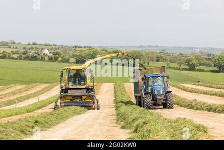 Riverstick, Cork, Irlande. 31 mai 2021. Entrepreneurs agricoles A & N Draper coupant l'ensilage une belle journée à la ferme de Gavin Coleman, Riverstick, Co. Cork, Irlande. - crédit; David Creedon / Alamy Live News Banque D'Images