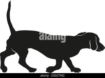Chien courant. Silhouette de chien noire. Chien Wiener ou chien saucisse. Animaux de compagnie. Isolé sur un fond blanc. Illustration vectorielle. Illustration de Vecteur