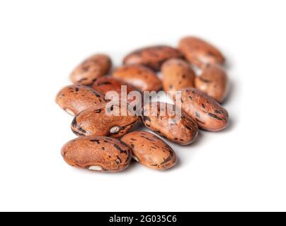 Graines de haricots à la langue du dragon pour la cuisine ou la plantation dans le jardin. Gros plan.la plante hollandaise du haricot produit des stries jaunes avec des gousses de haricots violets. Protéines Banque D'Images