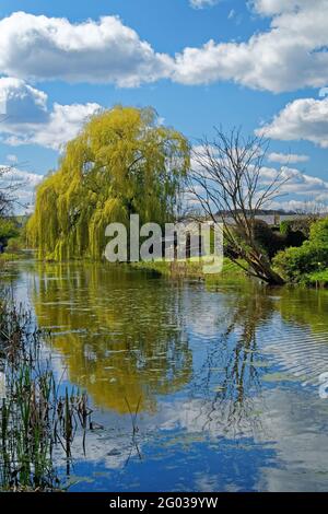 Royaume-Uni, Yorkshire du Sud, Barnsley, canal Elsecar