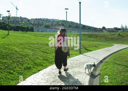 Jeune femme avec de petits chiens marchant dans le parc Banque D'Images