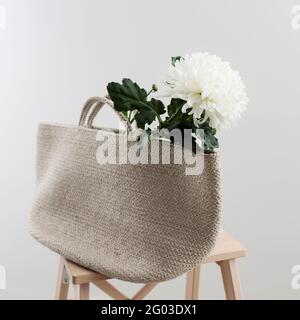 Grand chrysanthème blanc dans un sac de plage tressé, qui repose sur un tabouret. Consép. Copier l'espace Banque D'Images