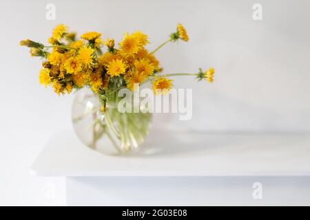 Un bouquet de pissenlits dans un vase en verre transparent. Copier l'espace Banque D'Images