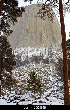 Monument national de Devils Tower dans la tempête de neige, partiellement enneigée, Wyoming Banque D'Images