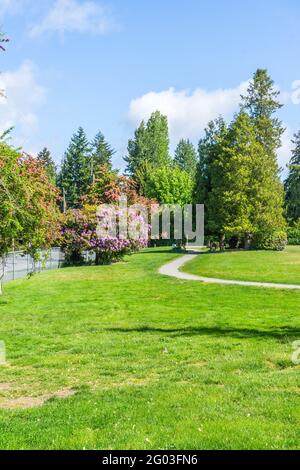 Une vue d'un parc de la ville avec fleurs en fleur au printemps. L'emplacement est Burien, Washington. Banque D'Images