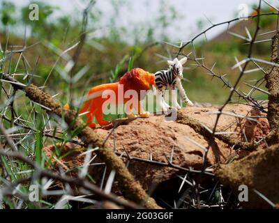 Lion debout avec zébra pour l'amitié concept animal jouet sur arrière-plan de la forêt Banque D'Images