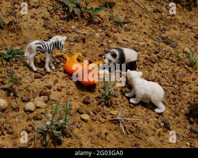 Animal de jouet multiple attaquant sur Lion dans le fond de la forêt, Lion chasse par d'autres concept d'image Banque D'Images