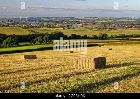 Royaume-Uni, South Yorkshire, Rotherham, Hay Bales in Filed surplombant la ville de Wombwell et le village de Brampton Bierlow. Banque D'Images