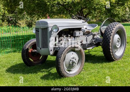 Tracteur d'époque Massey Ferguson TE20. Affectueusement connu sous le nom de Little Fergie Banque D'Images