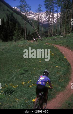 Mountain Bikers, Brush Creek, Crested Butte, Colorado Banque D'Images