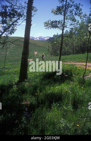 Mountain Bikers, Brush Creek, Crested Butte, Colorado Banque D'Images