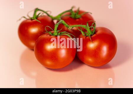 tomates sur fond rose Banque D'Images