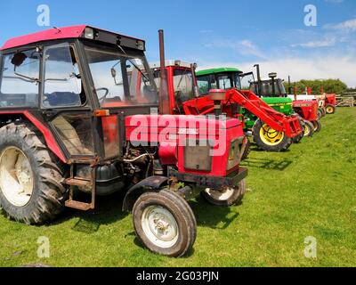 HOLSWORTHY, DEVON, ANGLETERRE - MAI 30 2021 : nombreux tracteurs d'époque différents, véhicules agricoles en rallye. Banque D'Images