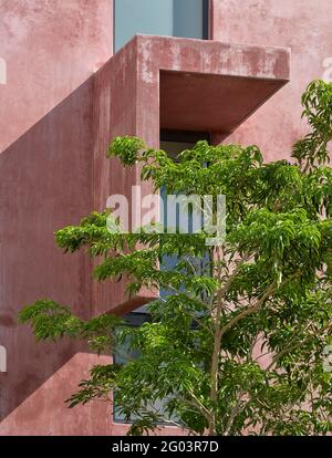 Tige de lumière sur le mur de rendu rose. Tulum Apartments, Tulum, Mexique. Architecte: Reyes Rios + Larrain Studio , 2019. Banque D'Images