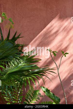 Tige de lumière sur le mur de rendu rose. Tulum Apartments, Tulum, Mexique. Architecte: Reyes Rios + Larrain Studio , 2019. Banque D'Images