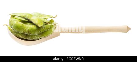 Edamame surgelé (soja non mûr) gousses en cuillère en bois isolées sur fond blanc Banque D'Images