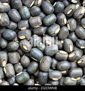 fond carré - grains d'urad noirs entiers crus près haut Banque D'Images