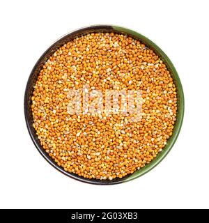 vue de dessus de chumiza graines de millet de sibérie dans un bol rond isolé sur fond blanc Banque D'Images