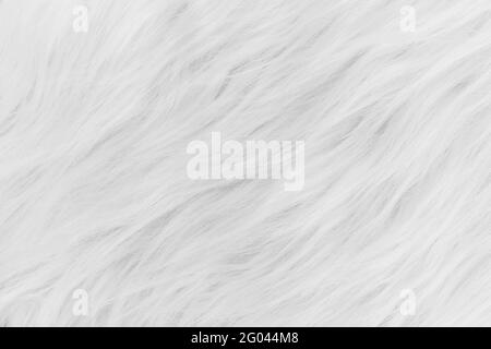 Texture background de laine blanche, coton, laine de mouton naturel blanc  Photo Stock - Alamy