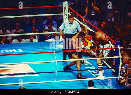 Mike Tyson contre Michael Spinks dans le combat de titre de champion de poids lourd où Tyson a gagné en 91 secondes au premier tour. Banque D'Images