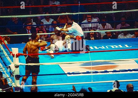 Mike Tyson contre Michael Spinks dans le combat de titre de champion de poids lourd où Tyson a gagné en 91 secondes au premier tour. Banque D'Images