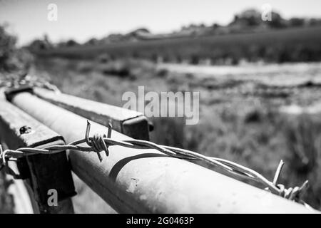 Fil barbelé noir et blanc devant le champ des agriculteurs Banque D'Images