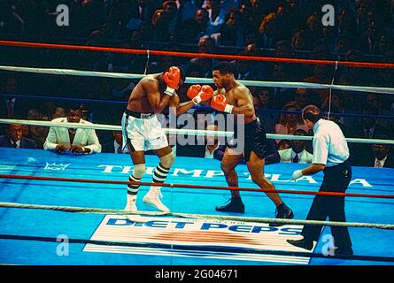 Mike Tyson contre Michael Spinks dans le combat de titre de champion de poids lourd où Tyson a gagné en 91 secondes au premier tour. Banque D'Images