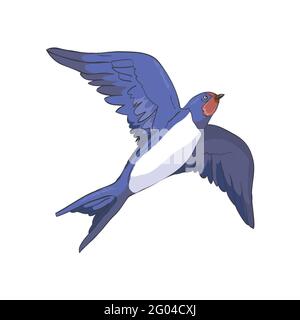 Image simplifiée d'une hirondelle volante isolée sur fond blanc. Vecteur, illustration Illustration de Vecteur