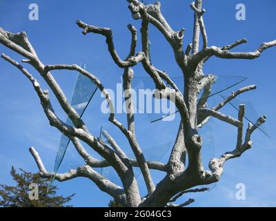 "Ways to Say Au revoir": Sculpture d'art par Ariel Schlesinger sous forme d'arbre avec des éclats de verre dans les branches; galerie d'art Compton Verney. Banque D'Images