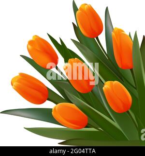 Bouquet de fleurs. Bouquet de tulipes orange avec feuilles. Affiche réaliste de carte de vœux vectorielle. Illustration graphique. Cadeau spécial Illustration de Vecteur