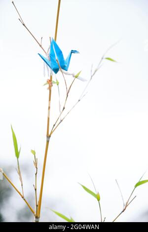Grue d'origami bleue, symbole japonais de la paix, accrochée à une plante de bambou à l'extérieur. Image avec espace de copie. Banque D'Images