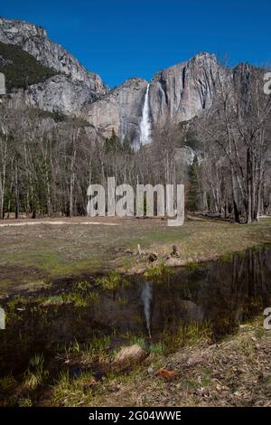 Les chutes de Yosemite, emblématiques et familières du parc national de Yosemite, se reflètent dans un reste de marécage de fonte des neiges. Banque D'Images