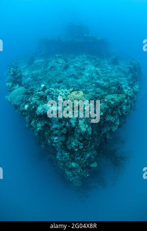 Coral a complètement colonisé l'épave japonaise de l'Iro Maru, coulé pendant la Seconde Guerre mondiale dans la lagune de la République des Palaos. Banque D'Images