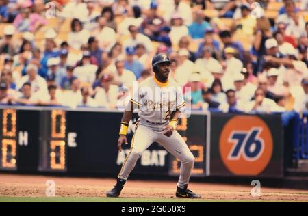Pittsburgh Pirates outfielder Barry Bond -- Veuillez créditer le photographe Kirk Schlea Banque D'Images