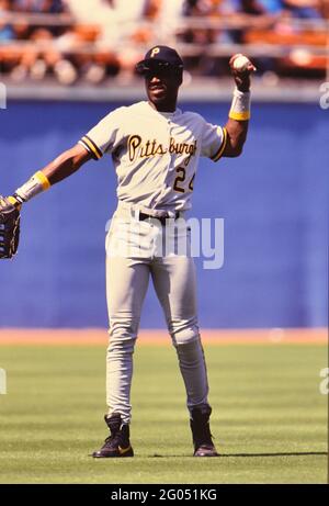 Pittsburgh Pirates outfielder Barry Bond -- Veuillez créditer le photographe Kirk Schlea Banque D'Images