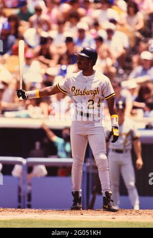 Pittsburgh Pirates outfielder Barry Bond -- Veuillez créditer le photographe Kirk Schlea Banque D'Images